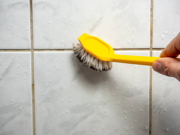 Best Mold Remediation for Schools in Rockwall, TX