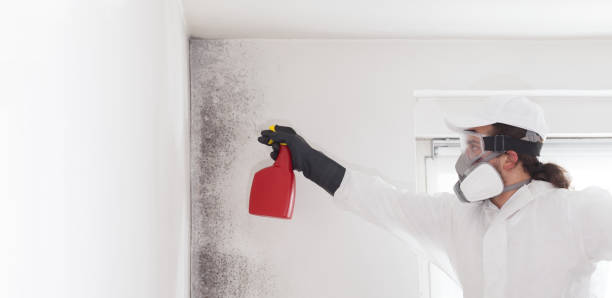 Rockwall, TX Mold Remediation Company